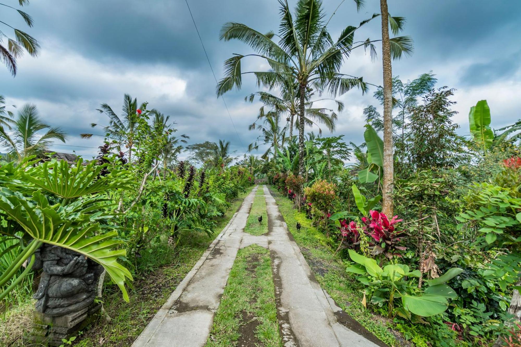 Ritual Ubud Payangan Eksteriør bilde
